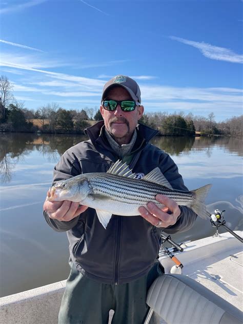 stripers online fishing forum|Striped Bass Forum .